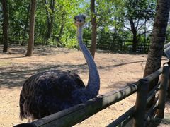 -大连森林动物园