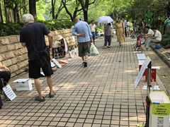 -人民公园-相亲角