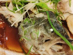 功夫鲈鱼-朱仔记食府(江南大道店)