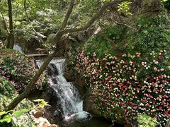 -红崖峡谷景区