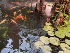 -永红源啤酒·烧烤·海鲜·大排档(台柳路店)