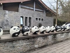 -都江堰中华大熊猫苑