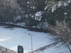 -延安杨家岭革命旧址