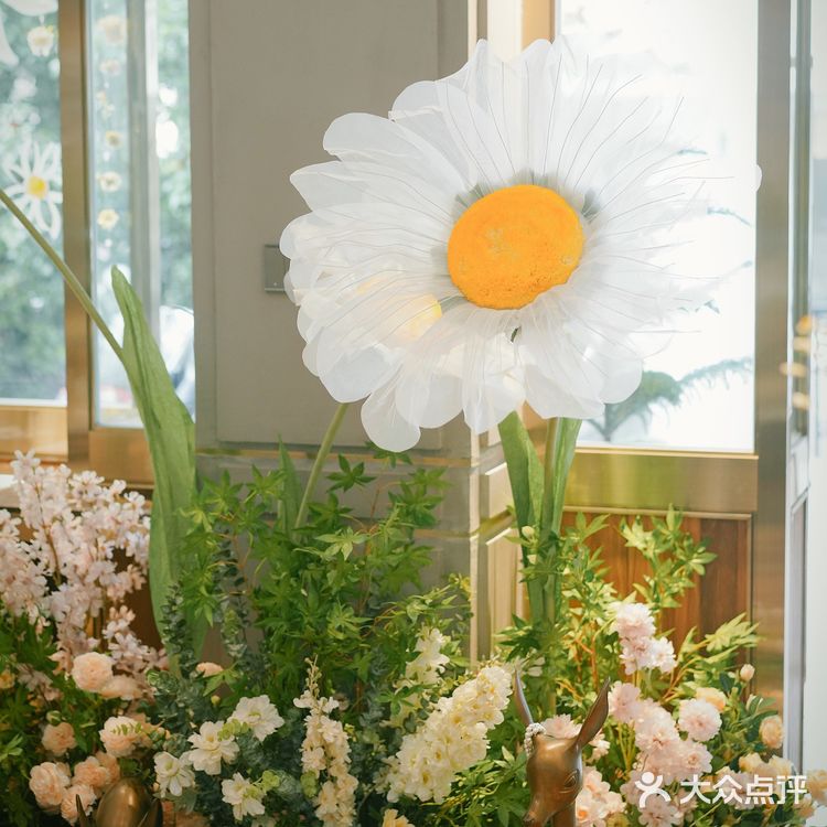 沛家小雏菊🌼适合小仙女的brunch天花板