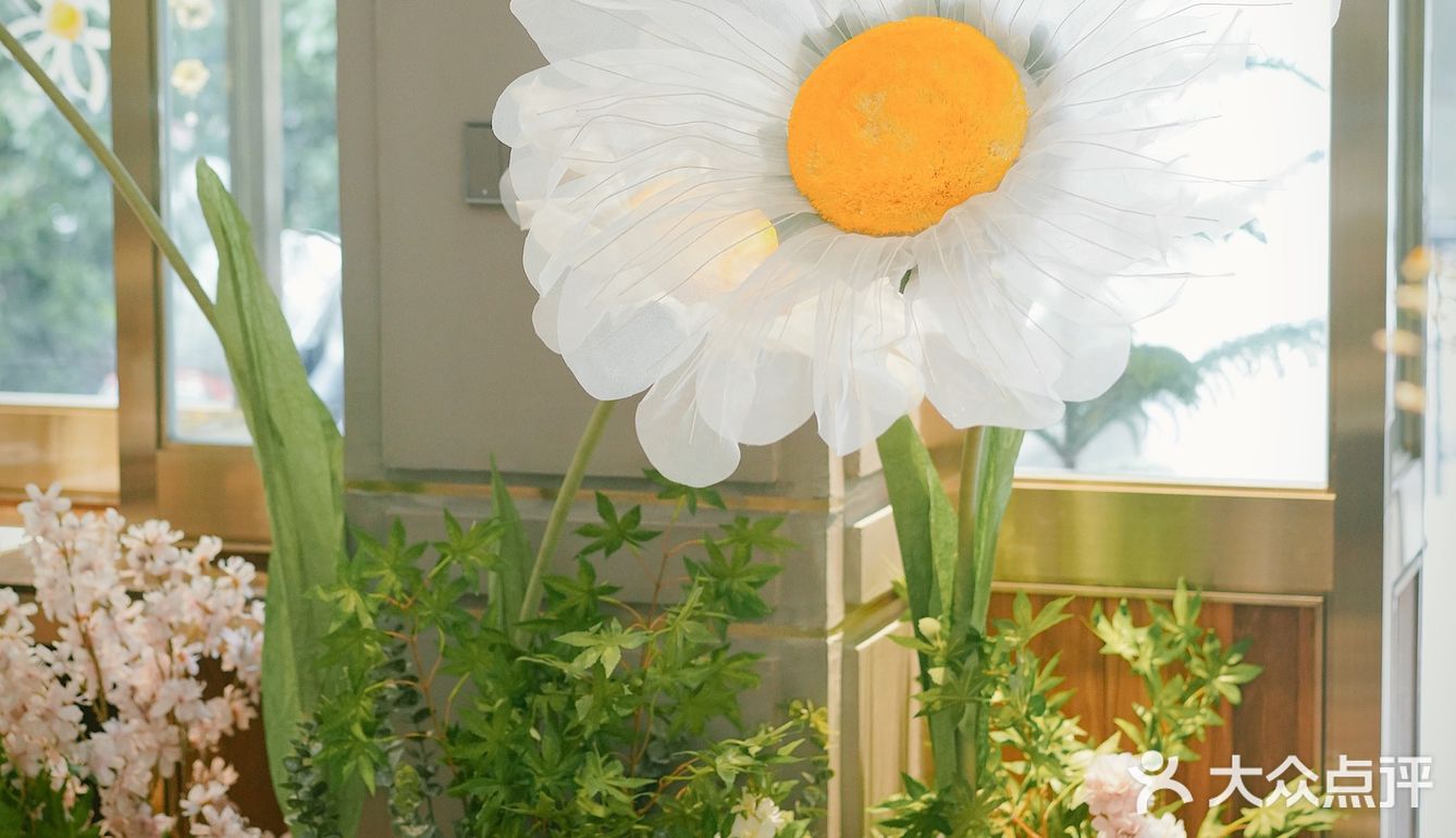 沛家小雏菊🌼适合小仙女的brunch天花板