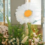 沛家小雏菊🌼适合小仙女的brunch天花板