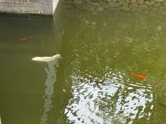 -海南文笔峰盘古文化旅游区