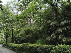 -北极阁公园