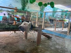 -西霞口神雕山野生动物世界