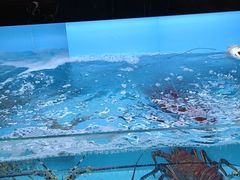-壹号港海鲜酒楼