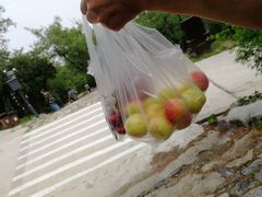 -阳台山自然风景区