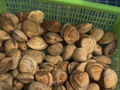 -和源祥·日照菜扛把子(万平口一店)