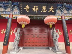 -大悲禅寺