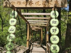 -大岭沟猕猴桃谷风景区