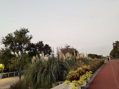 -上海山野camping·户外天幕烧烤·团建拓展营地