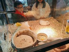 -宠物世家(仲盛世界商城店)