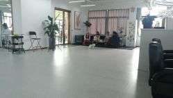 -蚂蚁造型沙龙