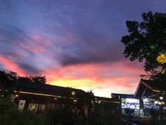 -大门水乡·顺德菜
