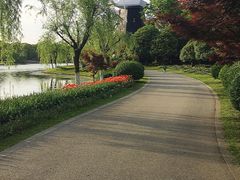 -上海鲜花港