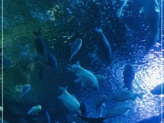 -成都浩海立方海洋公园