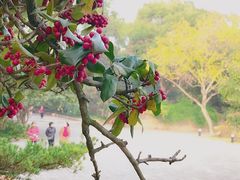 -上海方塔园