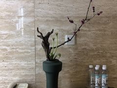 -九华山聚龙大酒店