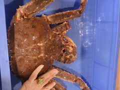 -蟹后Crabber(水悦城店)