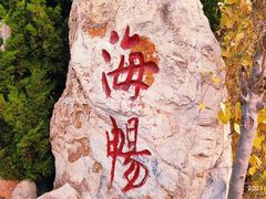 -大港湿地公园