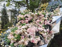 -上海鲜花港