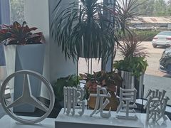 -奔驰北京鹏龙星徽(西大望路店)