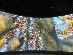 -诸城市恐龙博物馆