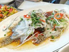 -宝荣鱼馆·临湖之宴(千岛湖店)