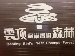 -亚龙湾热带天堂森林公园