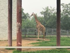 -石家庄市动物园