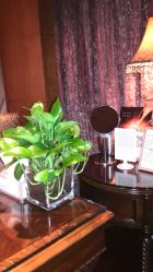 -TIME SPA科技美肤机构