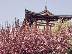 -西安青龙寺遗址景区