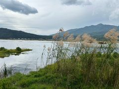 -腾冲北海湿地