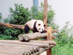 -红山森林动物园