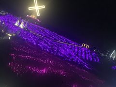 -大塘金香草谷