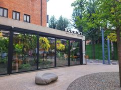 -Soloist 独奏公司(798店)