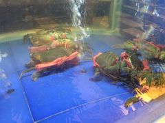 -阿英煲(凉城路店)