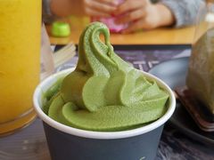 -雪绿茶博物馆