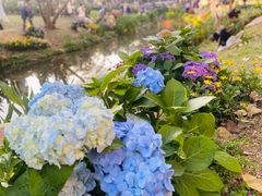 -人民公园(罗湖区)