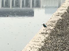 -尚贤河湿地