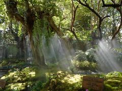 -Chom Cafe and Restaurant