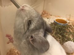 -龙猫仔乐园(惠福东路店)