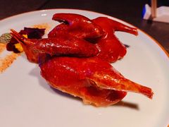 -粤凤佬