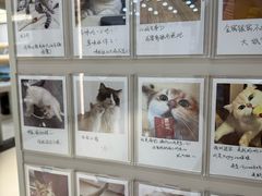 -御宝贝24h宠物医院·转诊中心·CT核磁血透中心(厦门总院)