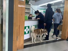 -爱侣宠医·鹦鹉专科·小型哺乳类·异宠专科(灵石路店)