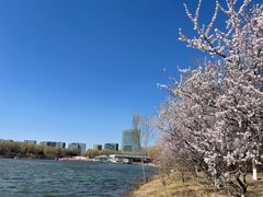 -大兴滨河森林公园